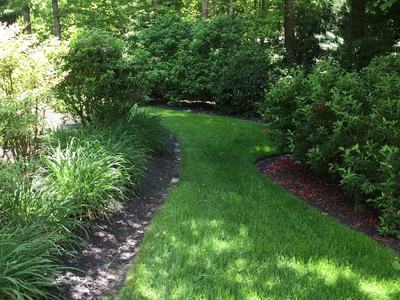 Green grass with green shrubs and green trees on each side