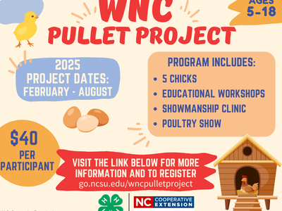 WNC Pullet Project poster; 2025 Feb–Aug; Ages 5–18; $40; visit go.ncsu.edu/wncpulletproject