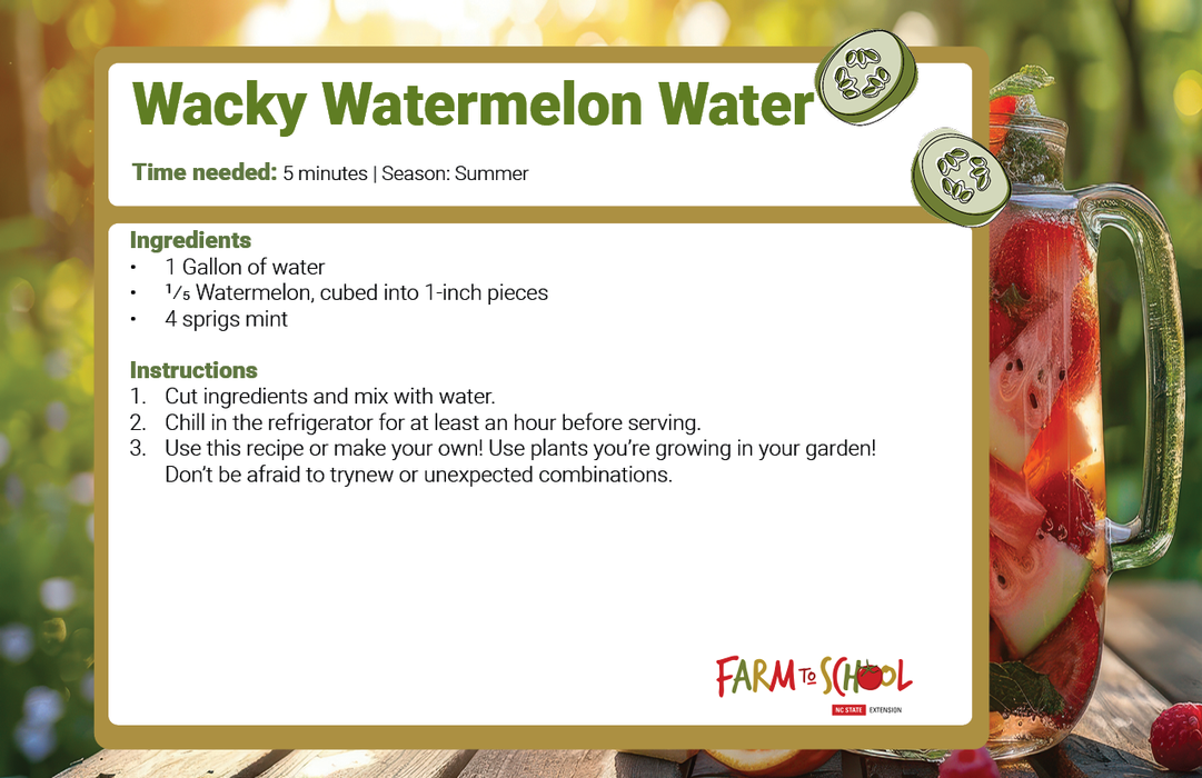 Wacky Watermelon Water recipe — 5 min; 1 gal water, 1/5 watermelon, 4 mint sprigs