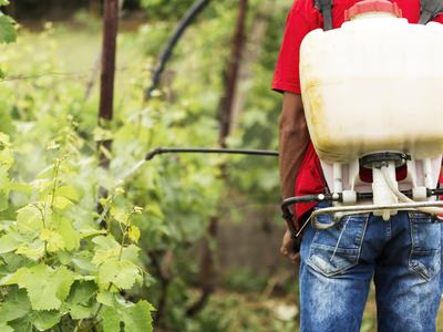 man with backpack sprayer spraying plants