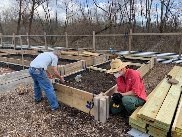 building raised beds