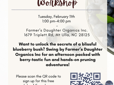 Blueberry Pruning Workshop flyer — Tuesday Feb 11, 1–4 pm at Farmer's Daughter Organics; QR code.