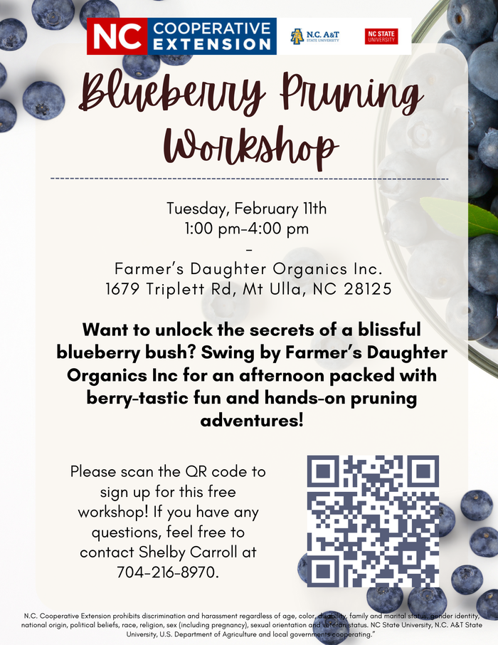 blueberry pruning workshop 2025