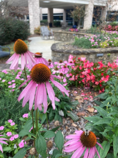 Courtesy of Ali Brown