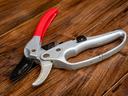 Pruning shears.