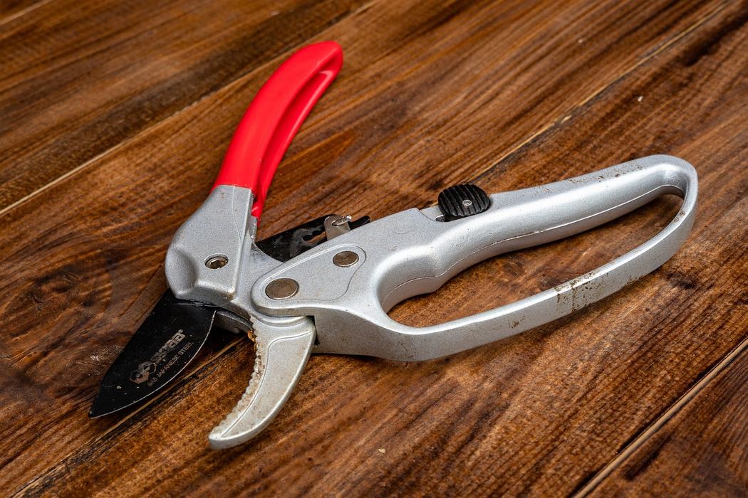 Pruning shears.