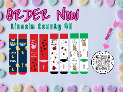 Lincoln County 4H promotional poster showing multiple sock designs and a QR code to order