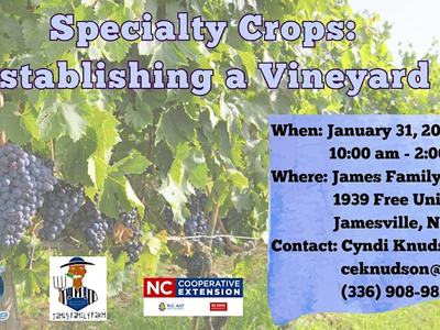 Flyer on establishing a vineyard