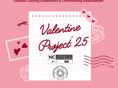 Valentine Project