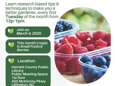 Lunch & Learn — NC State Extension, Mar 4, 2025; Small Fruits & Berries; Harnett Library