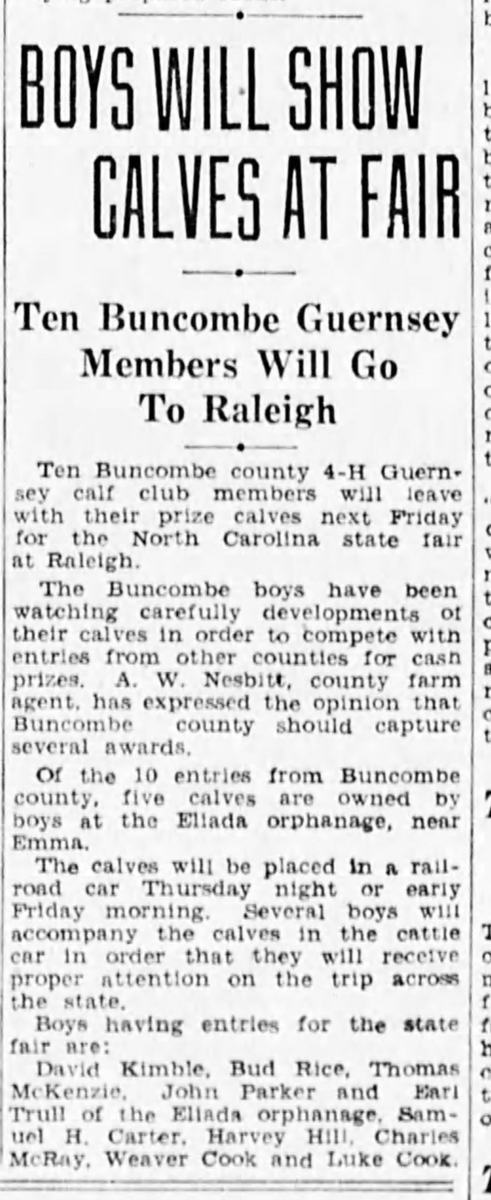 Newspaper article about a group of boys' Guernsey calves to be shown at the 1935 NC state fair.