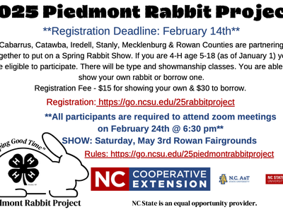 rabbit with 4-H logo