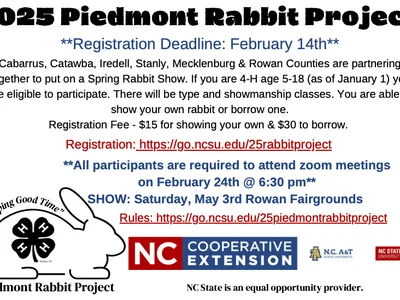 rabbit with 4-H logo