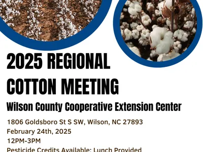 2025 Regional Cotton Meeting poster, Wilson County Cooperative Extension Center Feb 24, 2025
