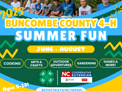 Buncombe County 4-H Summer Fun flyer — June–August; registration opens March 3, 2025; kids seated