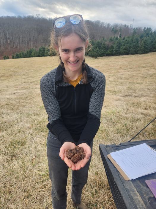 Young woman holding a handful of truffles recently harvested from a truffle orchard in North Carolina