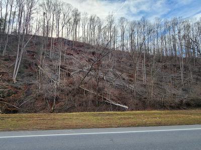 Devastated forest alongside a road.