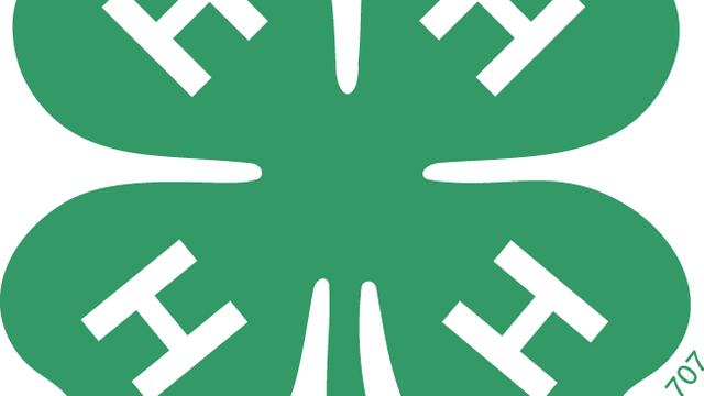 Green four-leaf clover with a white "H" on each leaf and small text "18 USC 707"
