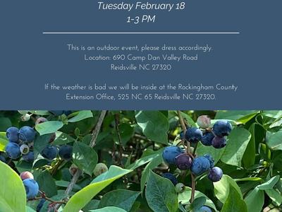 Blueberry Pruning Demonstration — Tuesday February 18, 1–3 PM; blueberry bushes and event details
