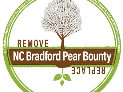Circular logo with a flowering tree and text "REMOVE NC Bradford Pear Bounty REPLACE"