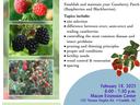 Caneberry Workshop