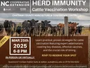Herd of cattle behind fence; text: HERD IMMUNITY workshop — Mar 25, 2025, 6–8 PM, Free