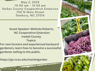 Pictures of market garden veggies