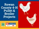 Rowan County 4-H Pullet & Broiler Projects title, two illustrated chickens, NC Extension