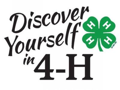 Text "Discover Yourself in 4-H" beside green four-leaf clover 4-H logo