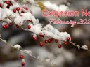 February 2025 Newsletter