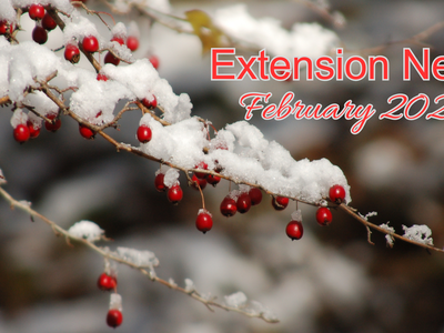 February 2025 Newsletter