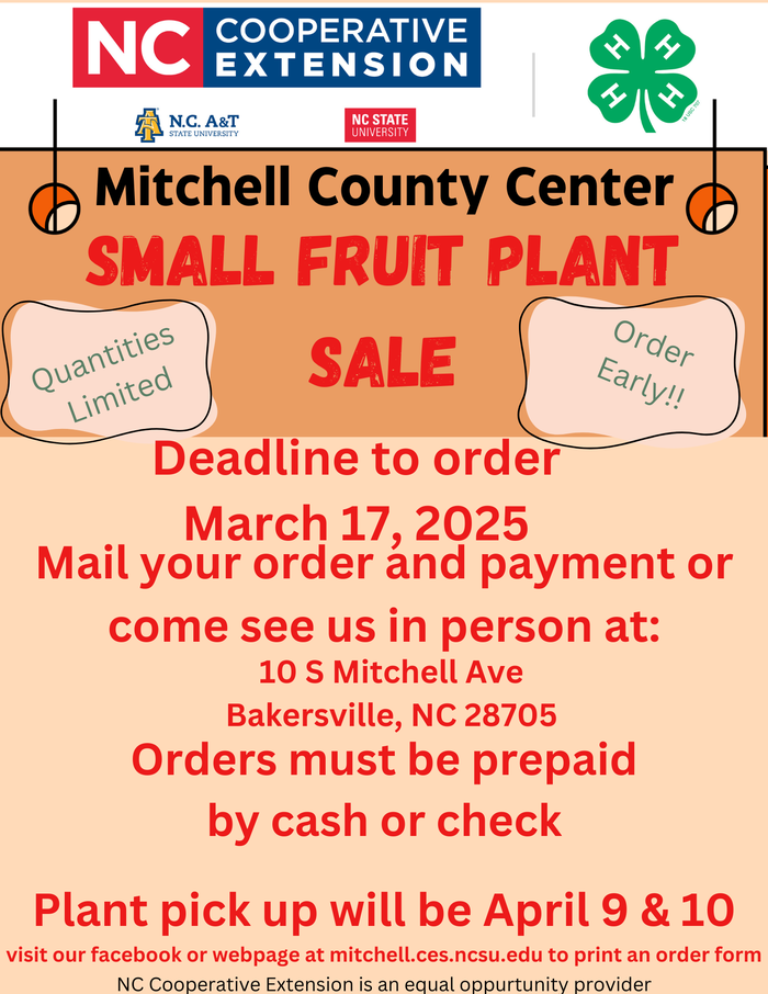 plant sale poster