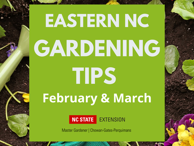 Eastern NC Gardening Tips