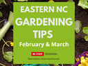 Eastern NC Gardening Tips