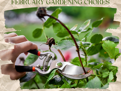 Feb Gardening Chores