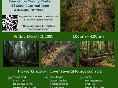 HURRICANE HELENE FOREST RECOVERY WORKSHOP flyer — March 21, 2025, 1:00–4:00pm, Asheville NC