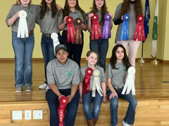 Eight girls in gray shirts on a stage holding assorted award ribbons (red, blue, white, purple).