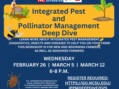 IPPM Deep Dive poster