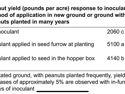 Table: peanut yield (lb/acre) — No inoculant 2060; in-furrow 5100; hopper box 4140