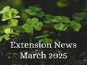 March 2025 Newsletter