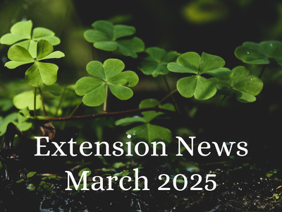 March 2025 Newsletter