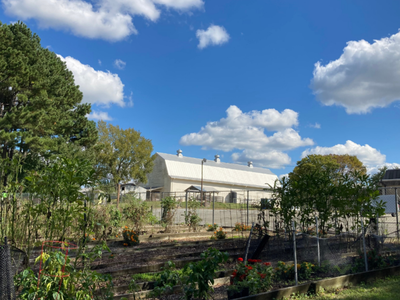 Community Garden image