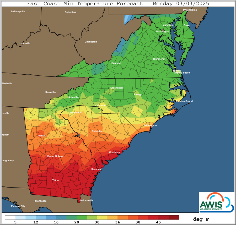 East Coast minimum temperature forecast map for Monday 03/03/2025 with deg F scale