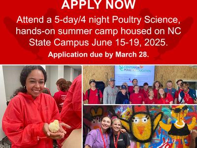 teens holding chicks, going on field trips, and painting in the expression tunnel