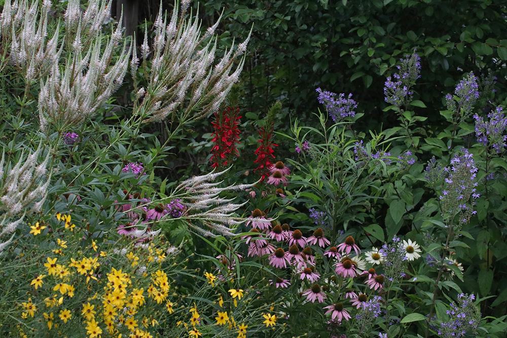 pollinator garden