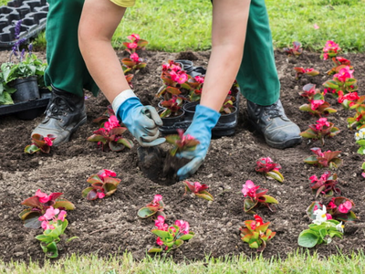Planting flowers