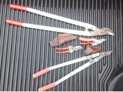 Pruning tools include loppers and hand pruners
