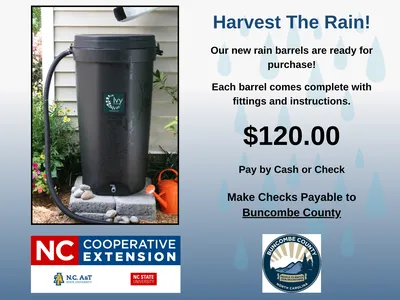Photo of 50 Gallon Rain Barrel sitting outdoors to gather rain.