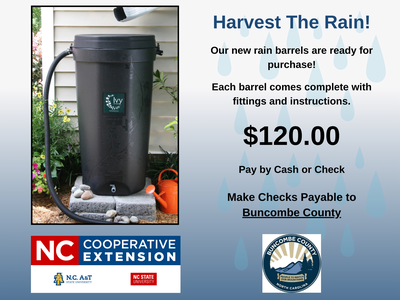 Photo of 50 Gallon Rain Barrel sitting outdoors to gather rain.