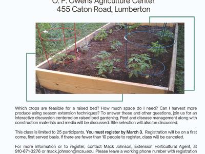 Raised Bed Gardening